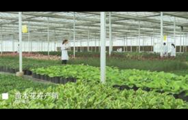 合肥綠葉園林集團(tuán)宣傳片